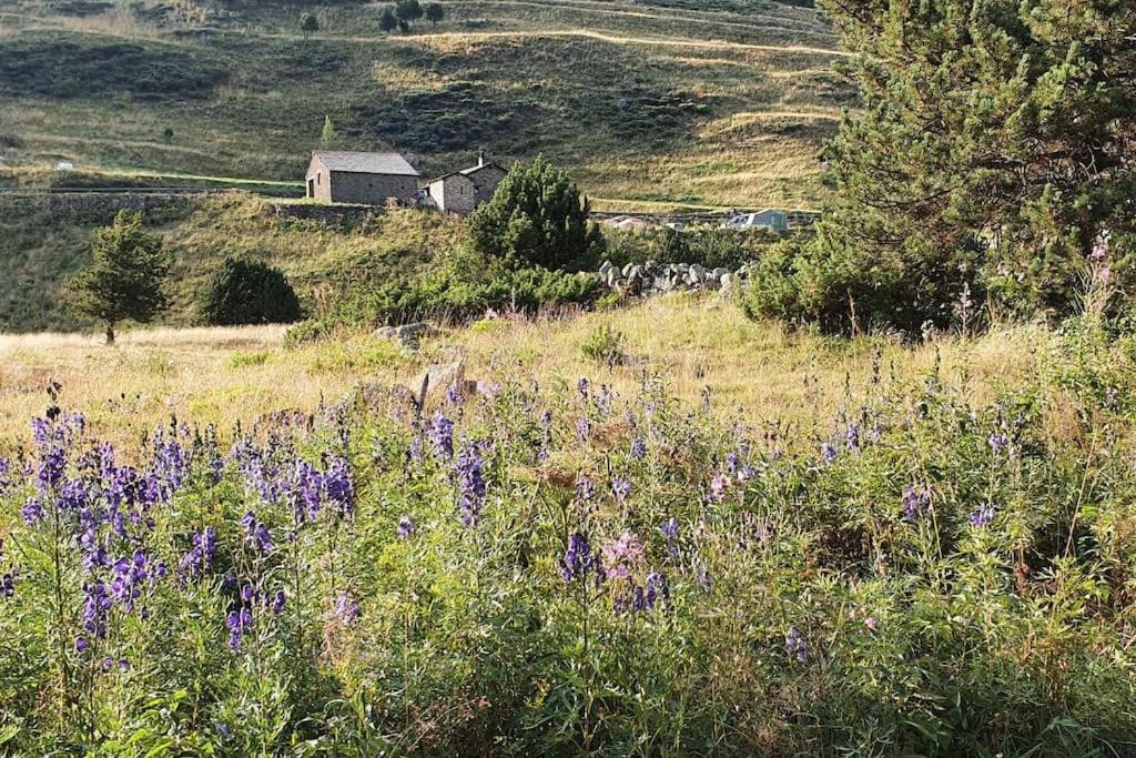 Acollidor Estudi Amb Encant Nordic I Amb Parquing, Al Costat De Grandvalira كانيلو المظهر الخارجي الصورة
